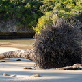 REF202410071128