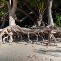 REF202410071153
