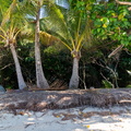 REF202410071219