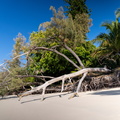 REF202410071224