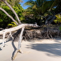 REF202410071226