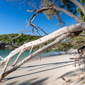 REF202410071278