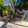 REF202410071283