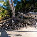 REF202410071332