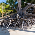 REF202410071341