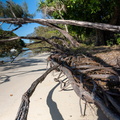 REF202410071381