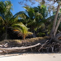 REF202410071438