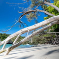 REF202410071448