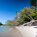 REF202410071477