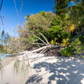 REF202410071480