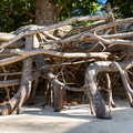 REF202410071526