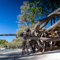 REF202410071531