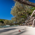 REF202410071567