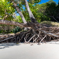 REF202410071593