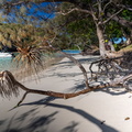 REF202410071605