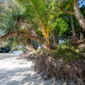 REF202410071610