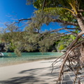 REF202410071644