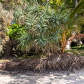 REF202410071682
