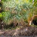 REF202410071687