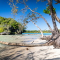 REF202410071694