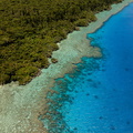 Lifou