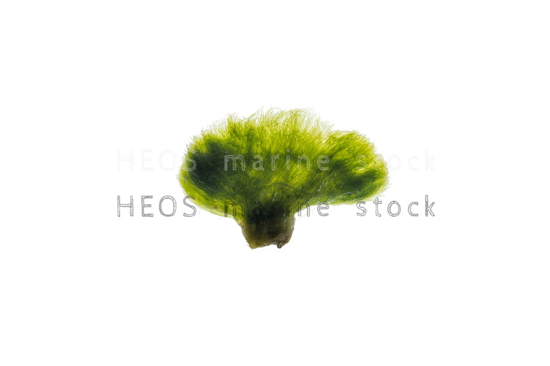 REF201712082824.jpg